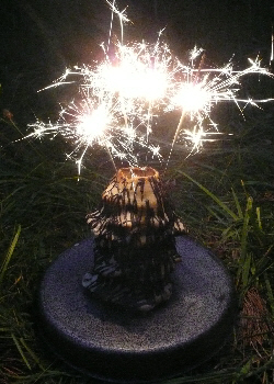 20120604-13_NrOleckoBirthdayCakeWithSparklers-sml