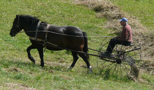 20120606-03_LithuaniaNrAlytus-sml