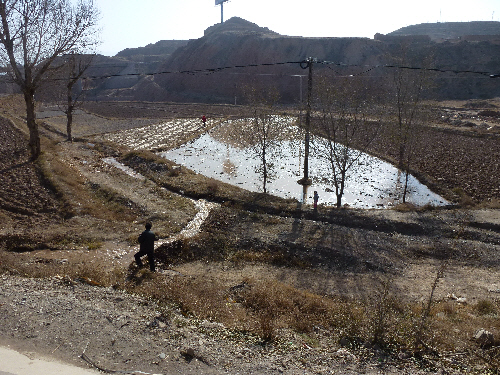 Fields are built perfectly level with a small ridge around the edge and are flooded periodically to irrigate them.
