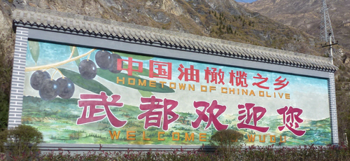 Olives - not something we'd previously associated with China