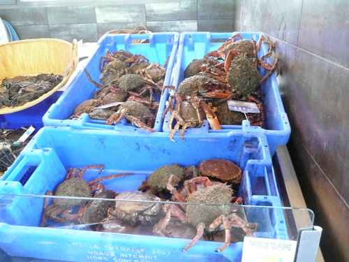 Crabs at the market